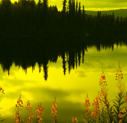 婚姻与家庭咨询：老公不爱回家，要怎么解决