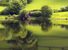 我伤老婆心太深怎样挽回 挽回婚姻你可以这样做