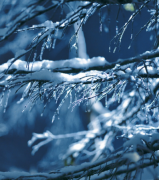 挽回女友的几大禁忌雷区注意不要踩