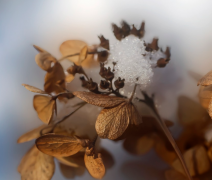 挽回感情的句子要怎么样写才感人 表达自己的心情