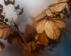 挽回爱情心态很重要 关注对方的动态