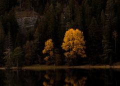 愚者逆位健康运势,愚人逆位感情现状