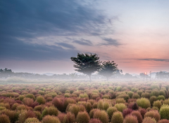 网上那种情感挽回导师有用吗,情感导师在线咨询服务