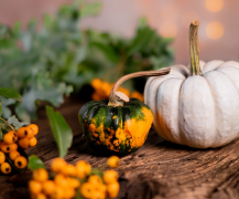 如何维持好异地恋爱情 给对方安全感很重要